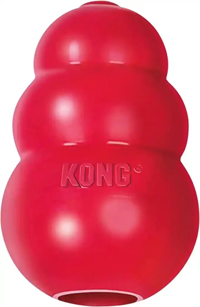 Kong Chew Toy 1